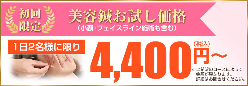 初回価格4,400円～