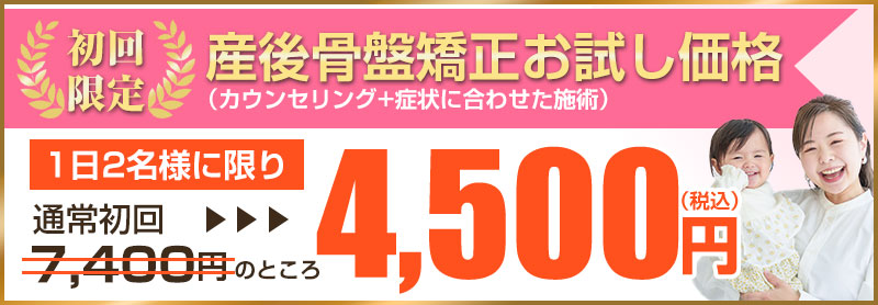 初回価格4,500円